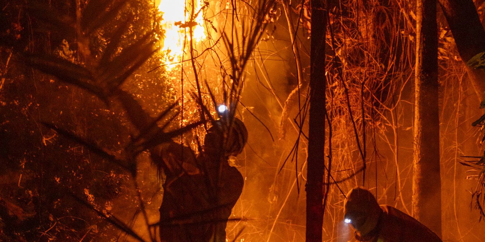 Dino cobra plano para prevenir incêndios na Amazônia e Pantanal