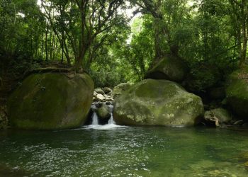 Guapimirim apresenta plano de manejo para implantação do Parque Municipal das Águas