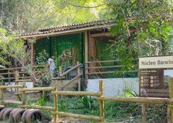 Inea identifica descarte irregular de esgoto em área de preservação no Parque da Serra da Tiririca