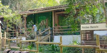 Inea identifica descarte irregular de esgoto em área de preservação no Parque da Serra da Tiririca