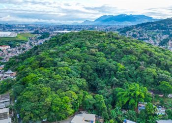 Parque Jardim Jurema avança na preservação ambiental com futura elaboração de Plano de Manejo em São João de Meriti