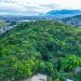 Parque Jardim Jurema avança na preservação ambiental com futura elaboração de Plano de Manejo em São João de Meriti